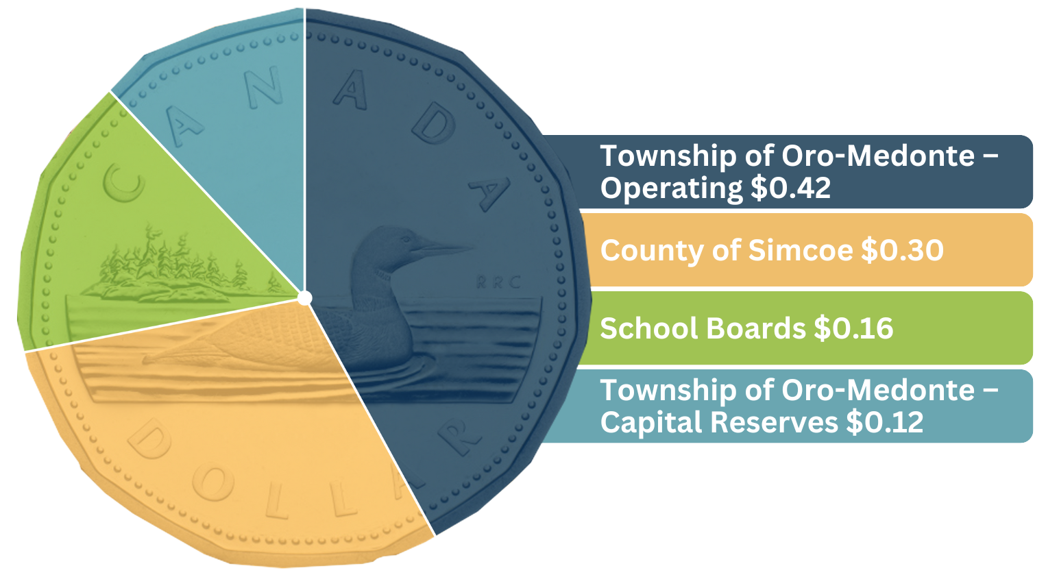 The loonie depicts the distribution of funds within the 2025 budget